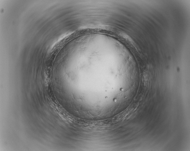 X0000052631064200507221744