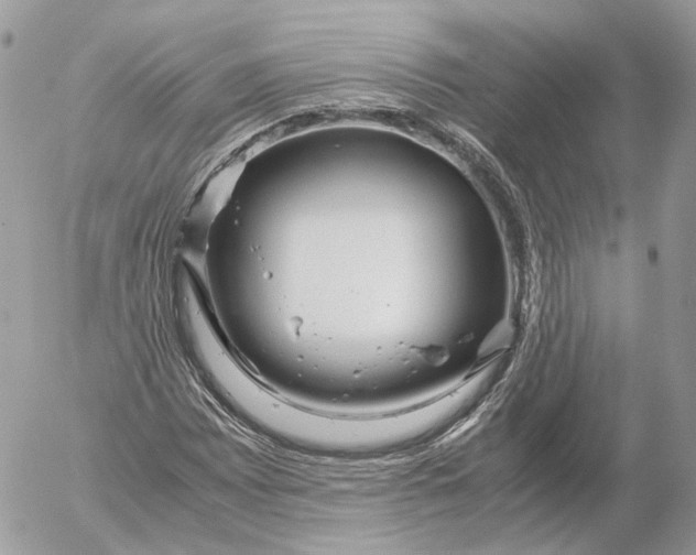 X0000052631065200507221744