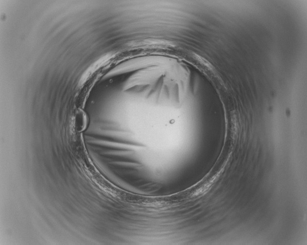 X0000052631066200507221744