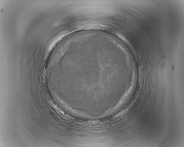 X0000052631067200507221744