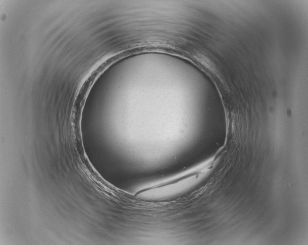 X0000052631068200507221744