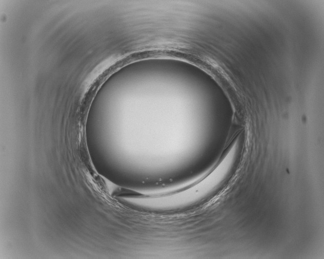 X0000052631069200507221744