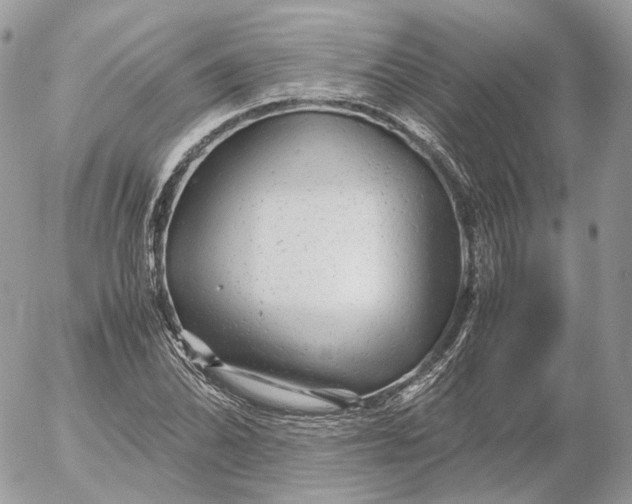 X0000052631070200507221744