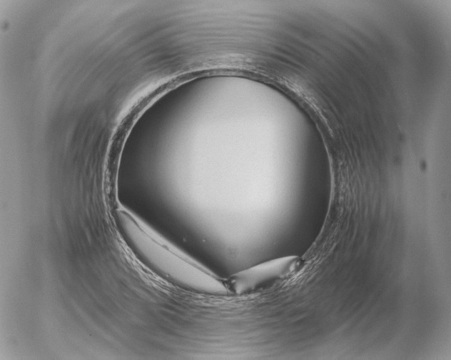 X0000052631072200507221744