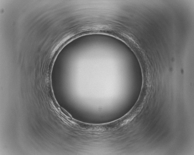 X0000052631073200507221744