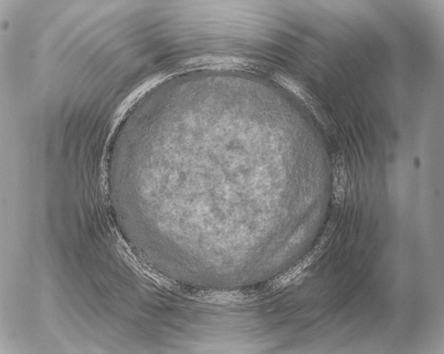 X0000052631074200507221744