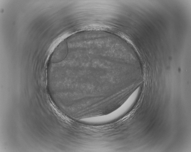 X0000052631075200507221744