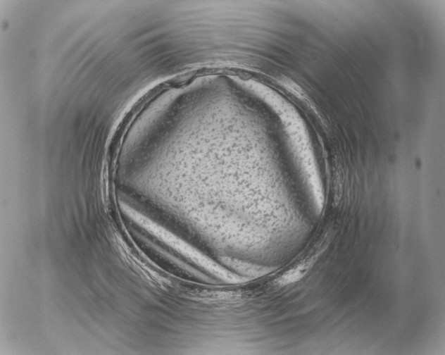 X0000052631076200507221744