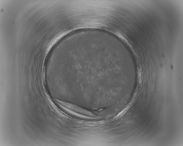 X0000052631077200507221744