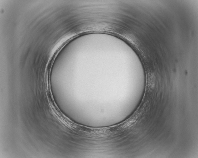 X0000052631078200507221744