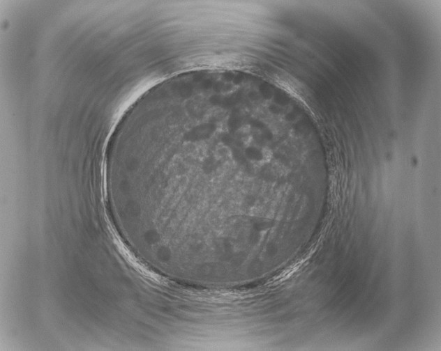 X0000052631079200507221744