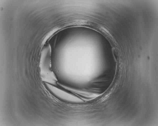 X0000052631081200507221744