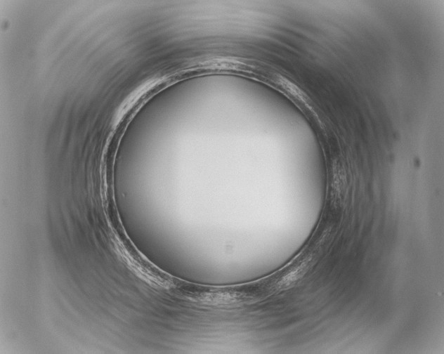 X0000052631082200507221744