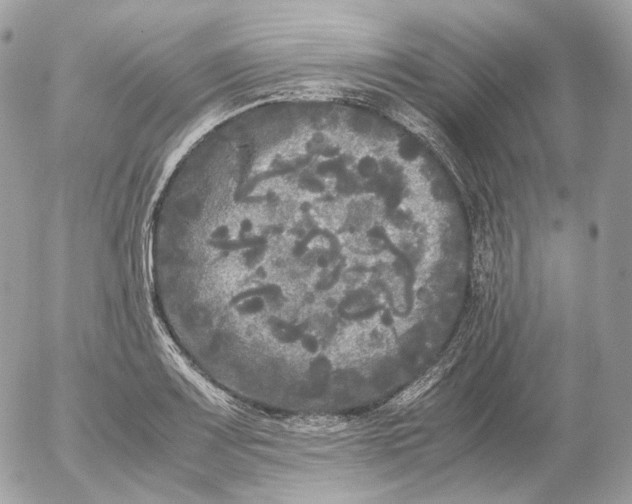 X0000052631083200507221744