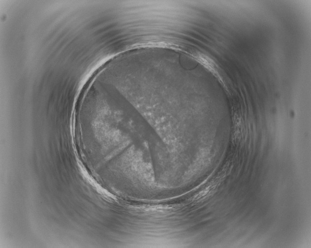 X0000052631084200507221744