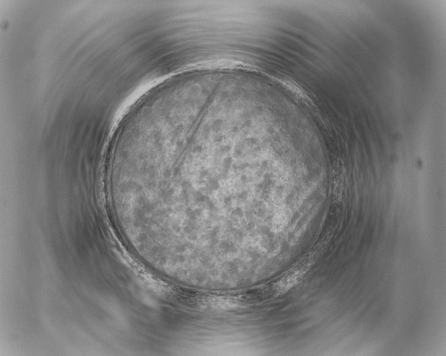 X0000052631086200507221744