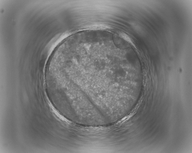 X0000052631087200507221744