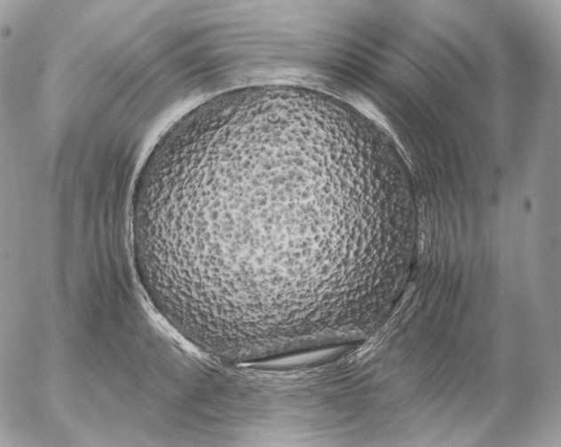 X0000052631088200507221744