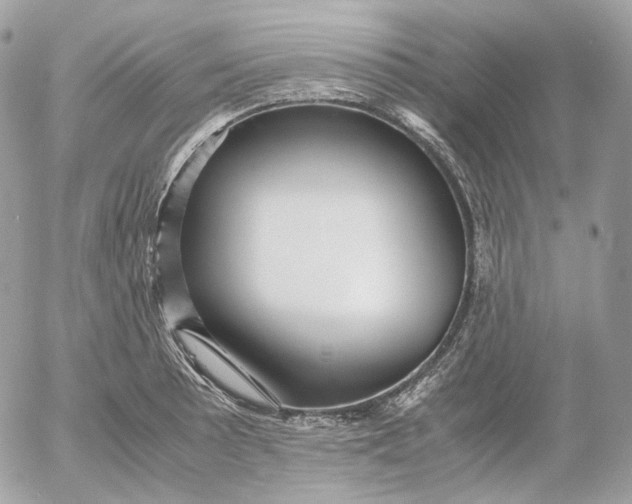 X0000052631089200507221744