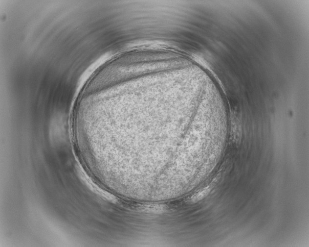 X0000052631090200507221744