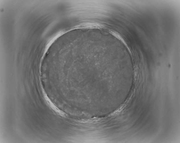 X0000052631091200507221744