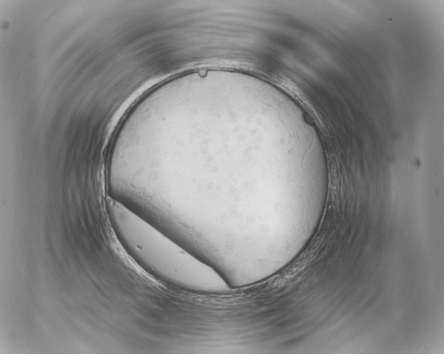 X0000052631092200507221744