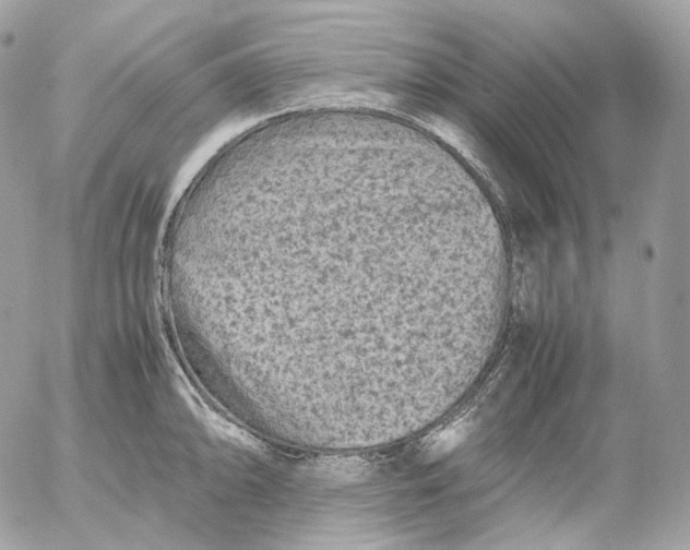 X0000052631094200507221744