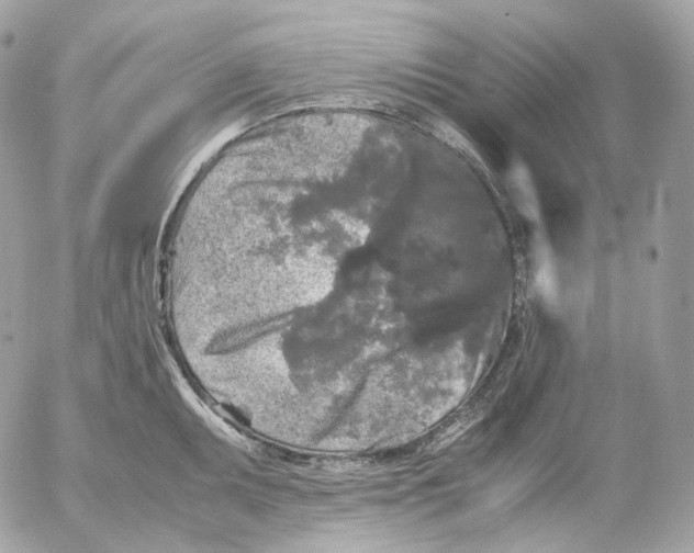 X0000052631095200507221744