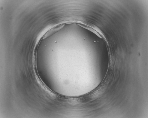 X0000052631096200507221744