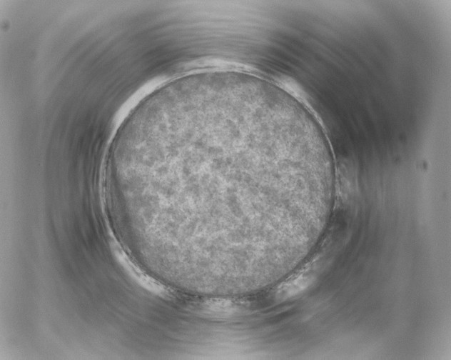 X0000052631098200507221744