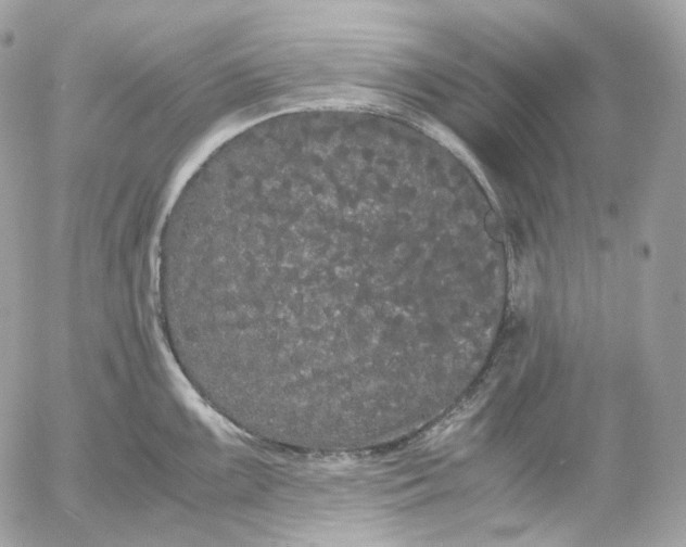 X0000052631099200507221744