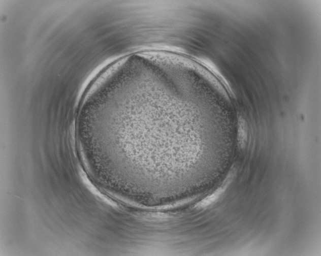 X0000052631100200507221744