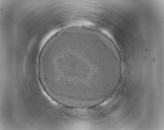 X0000052631103200507221743