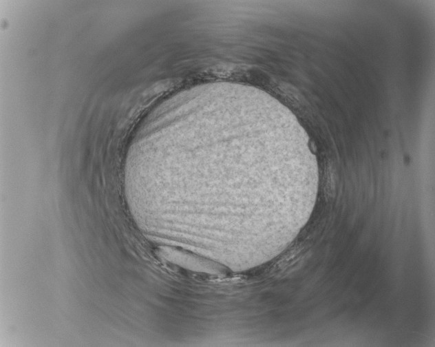 X0000052631105200507221743