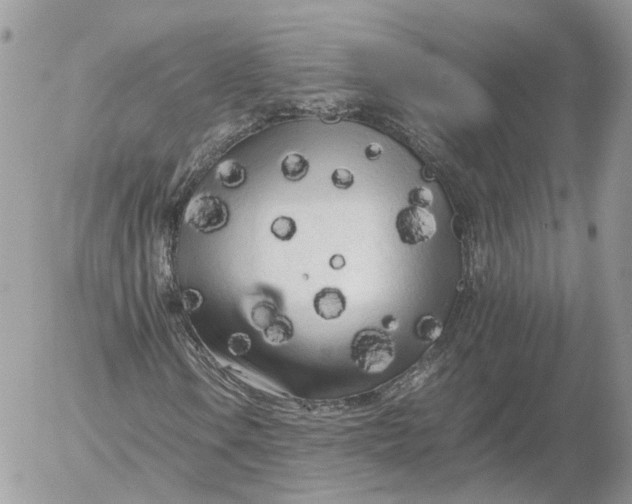 X0000052631106200507221743