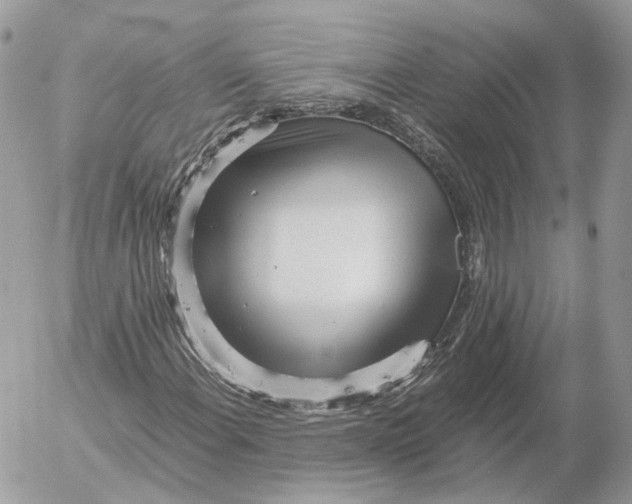 X0000052631108200507221743