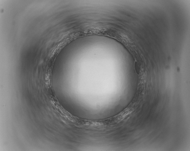 X0000052631109200507221743