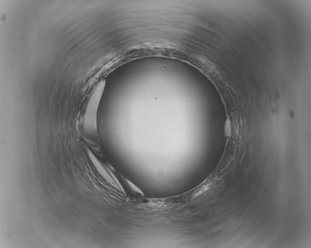 X0000052631110200507221743