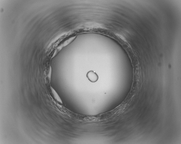 X0000052631112200507221743