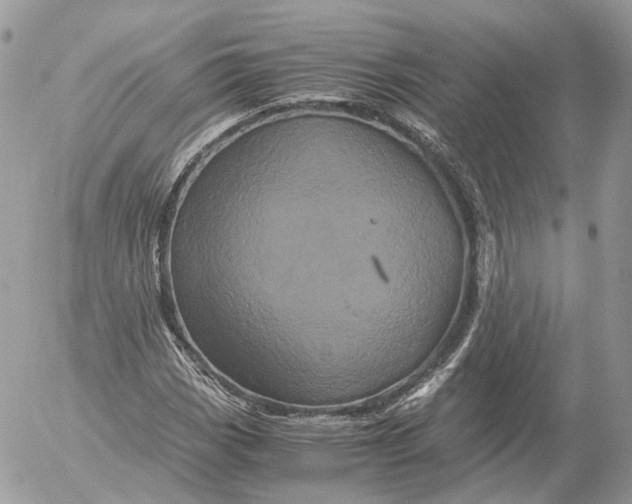 X0000052631113200507221743