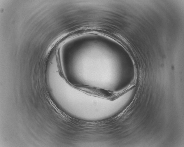 X0000052631115200507221743