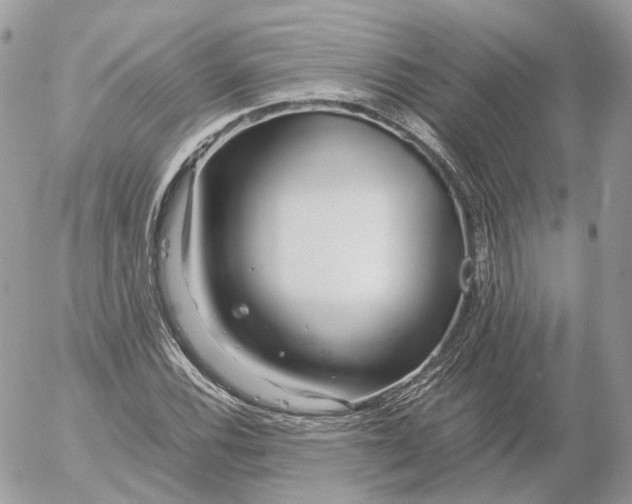 X0000052631116200507221743