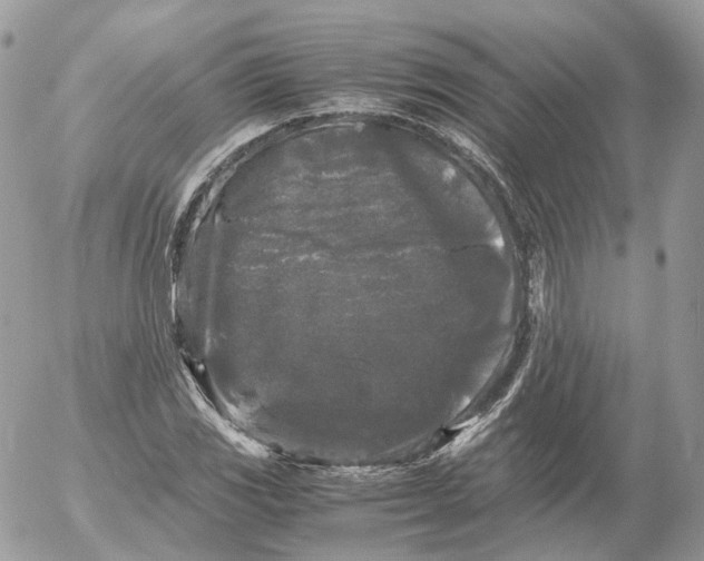 X0000052631117200507221743