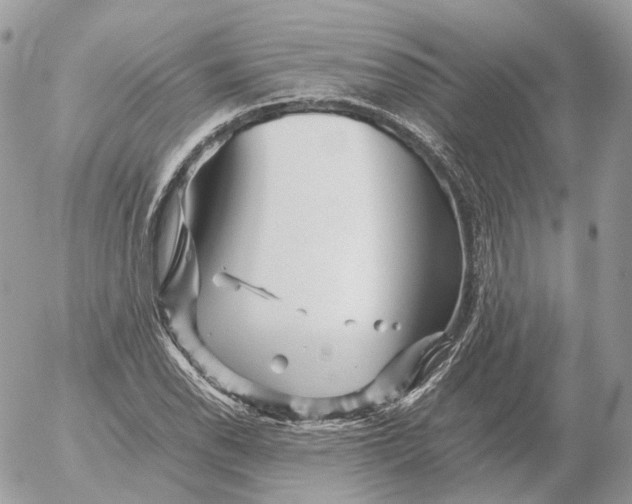 X0000052631118200507221743