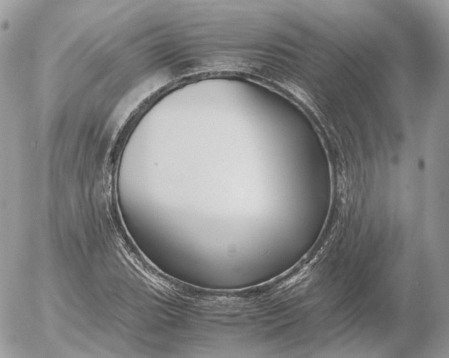 X0000052631119200507221743