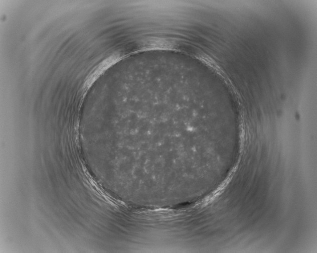 X0000052631121200507221743