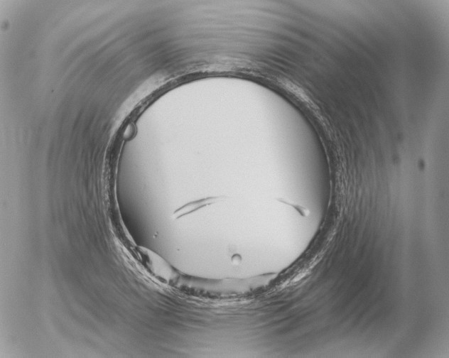 X0000052631122200507221743