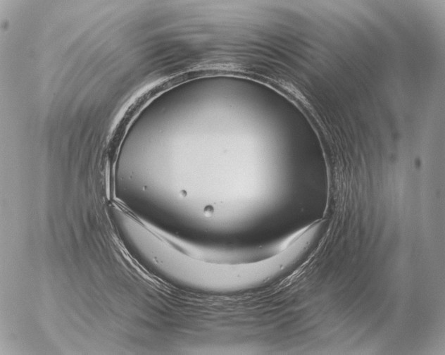 X0000052631123200507221743