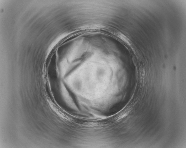 X0000052631124200507221743