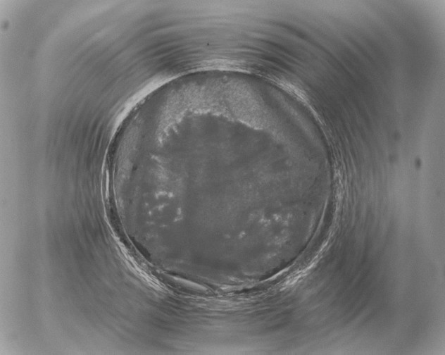 X0000052631125200507221743